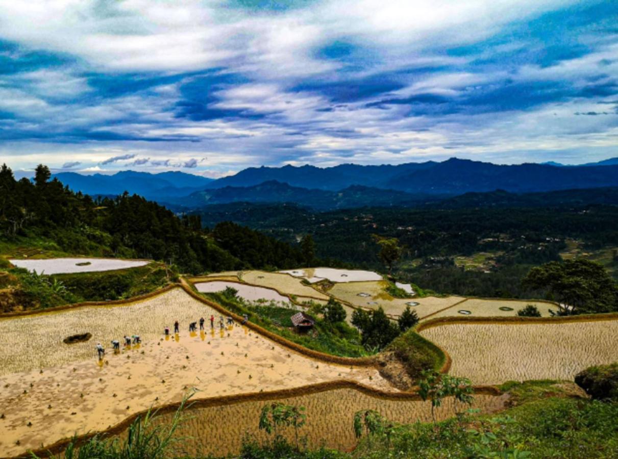 Santai Toraja Ξενοδοχείο Rantepao Εξωτερικό φωτογραφία